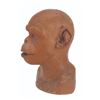 Image 5 : A "Planet of the Apes" Chimp 1st Master Head.