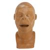 Image 1 : A "Planet of the Apes" Orangutan 1st Master Head.