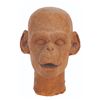 Image 1 : A "Planet of the Apes" Chimpanzee 2nd Master Head.