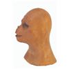 Image 3 : A "Planet of the Apes" Orangutan Test Makeup Head.
