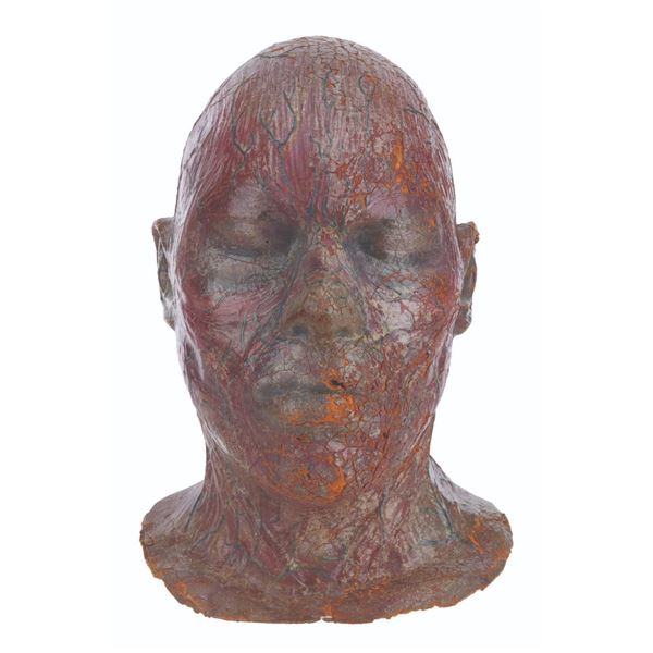 Color Model Mutant from Beneath the Planet of the Apes.