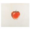 Image 1 : A "Snow White and the Seven Dwarfs" Apple Drawing.