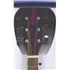 Image 4 : A Washburn "Tinkerbell" Acoustic Guitar.