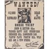 Image 2 : A Frontierland Print Shop Personalized Wanted Poster.