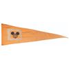 Image 1 : A Pair of Walt Disney World Seven Seas Lagoon Flags.