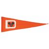 Image 2 : A Pair of Walt Disney World Seven Seas Lagoon Flags.