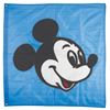 Image 1 : A Walt Disney World Railroad Mickey Mouse Flag.