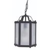 Image 1 : A Caribbean Beach Resort Pirate Room Hanging Light.