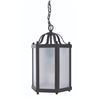 Image 2 : A Caribbean Beach Resort Pirate Room Hanging Light.