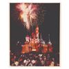 Image 1 : A Disneyland Photo Signed By Mickey Aronson.