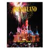Image 1 : A Disneyland: Inside Story Book.