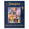 Image 1 : A Disneyland Then, Now, and Forever Book.