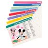 Image 4 : A Disney Consumer Products Informational Folder.