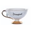 Image 7 : A Disneyland Sleeping Beauty Castle Teacup and Saucer.