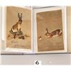Image 4 : Easter Holiday Greeting Bunny Album 85+ Postcards