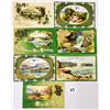 Image 2 : Winsch St. Patrick's Day Holiday Greeting Postcards 21