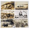 Image 2 : Exaggeration Postcards 15