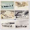 Image 1 : Animals - Dog Sled 25 Postcards