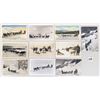 Image 3 : Animals - Dog Sled 25 Postcards