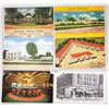 Image 1 : Louisiana Approx. 220 Postcards