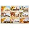 Image 2 : State Flower Postcards 39