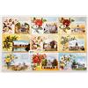 Image 3 : State Flower Postcards 39