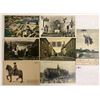 Image 1 : Sweden Approx. 50 Postcards