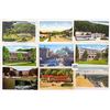 Image 3 : 2 Boxes of Tennessee Postcards 850+