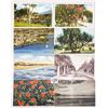 Image 1 : Florida Approx. 450 Postcards Mostly Scenary