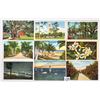 Image 2 : Florida Approx. 450 Postcards Mostly Scenary