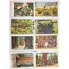 Image 1 : Trees - Water Wheels - Rocks - Granite Mining - Approx. 230 Postcards