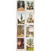 Image 3 : Trees - Water Wheels - Rocks - Granite Mining - Approx. 230 Postcards