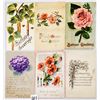 Image 1 : Holidays & General Greetings Approx. 480 Postcards
