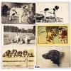 Image 1 : Animals - Dogs 60 Postcards