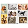 Image 2 : Animals - Dogs 60 Postcards