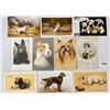 Image 3 : Animals - Dogs 60 Postcards
