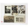 Image 1 : Animals - Real Photo Cat & Kitten Postcards 39