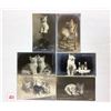 Image 1 : Animals - Rotograph Cat Real Photo Postcards 30