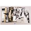 Image 5 : Wizard of Oz Oversized Postcards 7