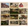 Image 2 : American Indian Postcards 24