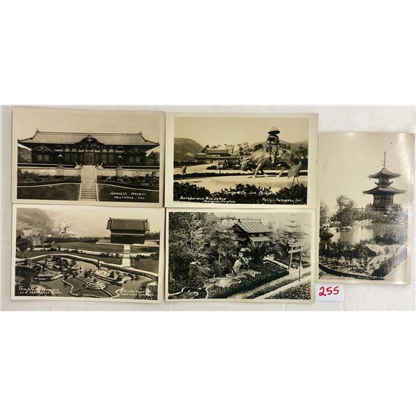 Real Photo Japanese Gardens California Postcards 20