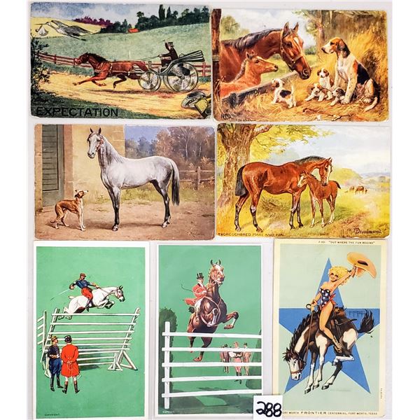 Animals - Horses 27 Postcards