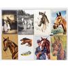 Image 2 : Animals - Horses 27 Postcards