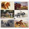 Image 3 : Animals - Horses 27 Postcards
