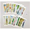 Image 4 : Social History Series 18 Postcards