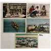 Image 1 : Alaska Approx. 50 Postcards