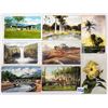 Image 1 : Hawaii 50 Postcards