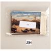 Image 5 : New York City Tuck Publishing Postcards 14