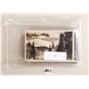 Image 8 : Minnesota Real Photo Postcards 40+