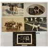 Image 1 : Animals - Dog Postcards 24